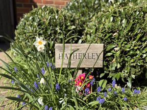 Photo 21- click for photo gallery